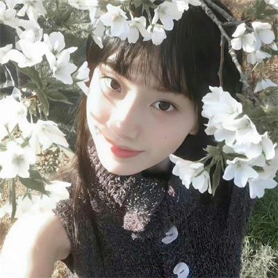 出水芙蓉国语